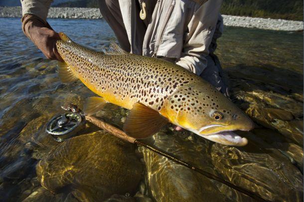 Fishing film festival again on the rise